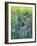 Field of Flowersspring-ZPR Int’L-Framed Giclee Print