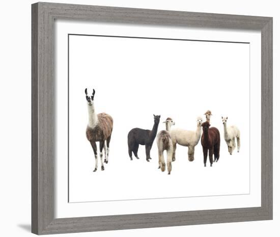 Field of Friends-Bill Philip-Framed Giclee Print