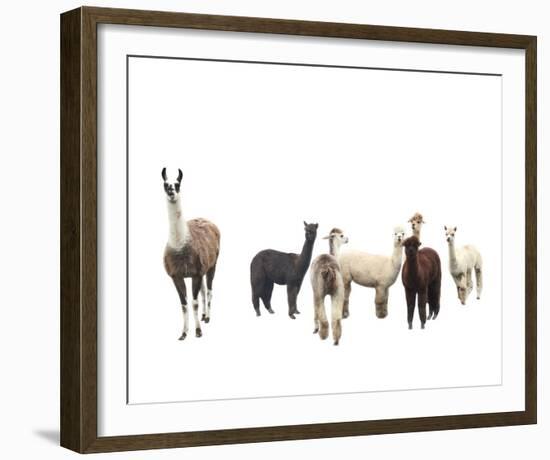 Field of Friends-Bill Philip-Framed Giclee Print