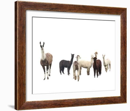 Field of Friends-Bill Philip-Framed Giclee Print