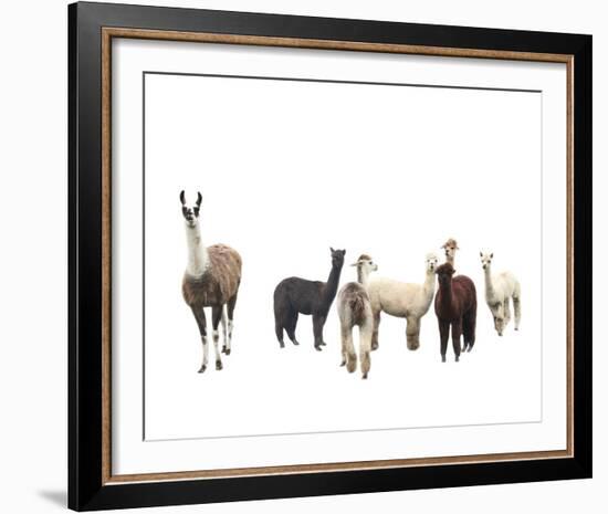 Field of Friends-Bill Philip-Framed Giclee Print