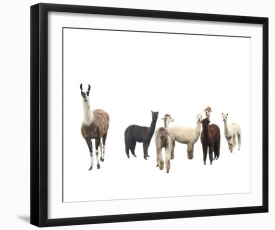 Field of Friends-Bill Philip-Framed Giclee Print