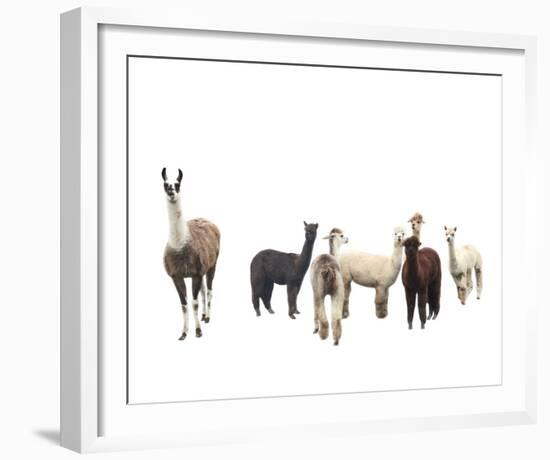 Field of Friends-Bill Philip-Framed Giclee Print