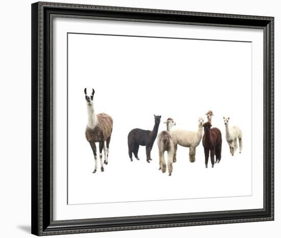 Field of Friends-Bill Philip-Framed Giclee Print