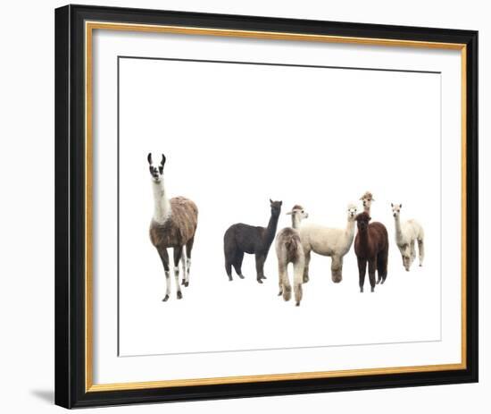 Field of Friends-Bill Philip-Framed Giclee Print