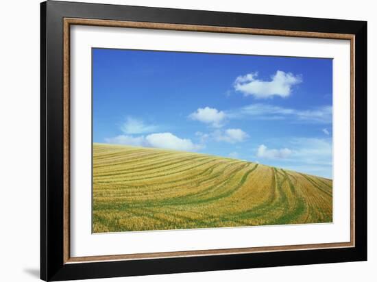 Field of Gold-Den Reader-Framed Photographic Print