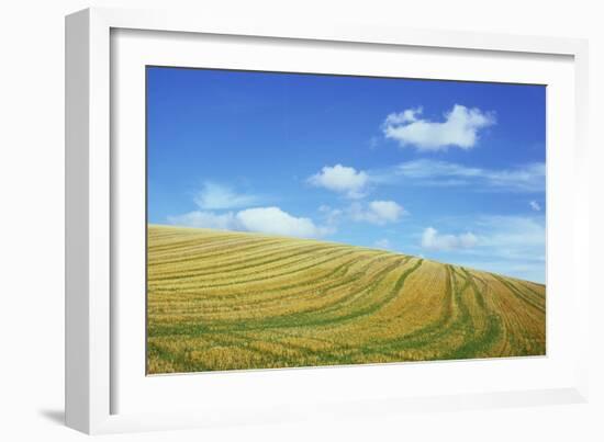 Field of Gold-Den Reader-Framed Photographic Print