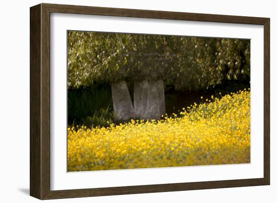 Field of Gold-Valda Bailey-Framed Photographic Print