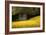 Field of Gold-Valda Bailey-Framed Photographic Print