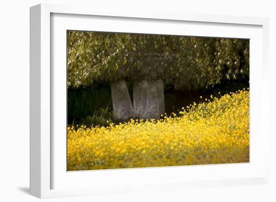 Field of Gold-Valda Bailey-Framed Photographic Print