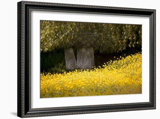 Field of Gold-Valda Bailey-Framed Photographic Print