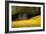 Field of Gold-Valda Bailey-Framed Photographic Print