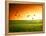 Field of Grass and Flying Birds-Iakov Kalinin-Framed Premier Image Canvas