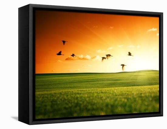 Field of Grass and Flying Birds-Iakov Kalinin-Framed Premier Image Canvas