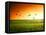 Field of Grass and Flying Birds-Iakov Kalinin-Framed Premier Image Canvas