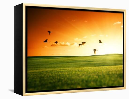 Field of Grass and Flying Birds-Iakov Kalinin-Framed Premier Image Canvas