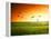 Field of Grass and Flying Birds-Iakov Kalinin-Framed Premier Image Canvas