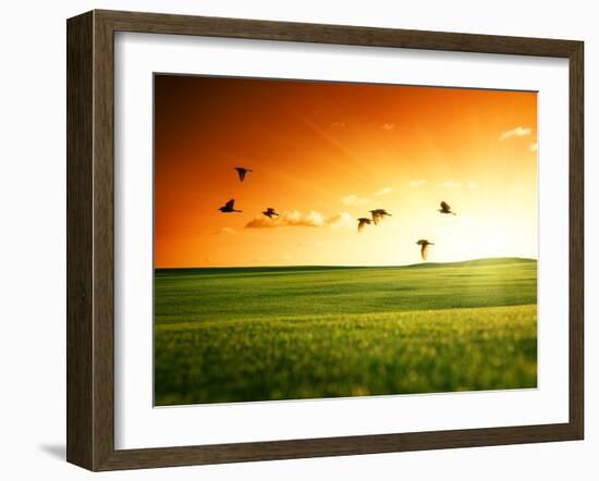 Field of Grass and Flying Birds-Iakov Kalinin-Framed Photographic Print