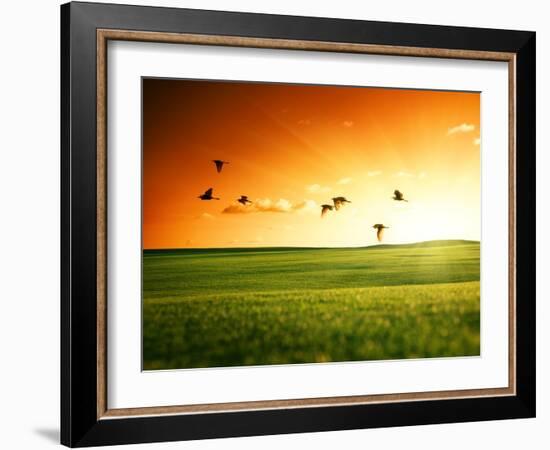 Field of Grass and Flying Birds-Iakov Kalinin-Framed Photographic Print