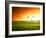 Field of Grass and Flying Birds-Iakov Kalinin-Framed Photographic Print