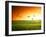 Field of Grass and Flying Birds-Iakov Kalinin-Framed Photographic Print