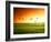 Field of Grass and Flying Birds-Iakov Kalinin-Framed Photographic Print