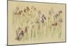 Field of Irises-Cheri Blum-Mounted Art Print