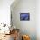 Field of Lavander Flowers Ready for Harvest, Sault, Provence, France, June 2004-Inaki Relanzon-Framed Premier Image Canvas displayed on a wall