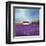 Field of Lavender (Right Detail)-Philip Bloom-Framed Art Print