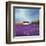 Field of Lavender (Right Detail)-Philip Bloom-Framed Art Print