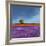 Field of Lavender-Philip Bloom-Framed Art Print