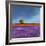 Field of Lavender-Philip Bloom-Framed Art Print