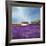 Field of Lavender-Philip Bloom-Framed Art Print