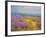 Field of Lavenders 2-Vahe Yeremyan-Framed Art Print