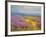 Field of Lavenders 2-Vahe Yeremyan-Framed Art Print