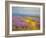 Field of Lavenders 2-Vahe Yeremyan-Framed Art Print