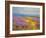 Field of Lavenders 2-Vahe Yeremyan-Framed Art Print