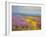 Field of Lavenders 2-Vahe Yeremyan-Framed Art Print