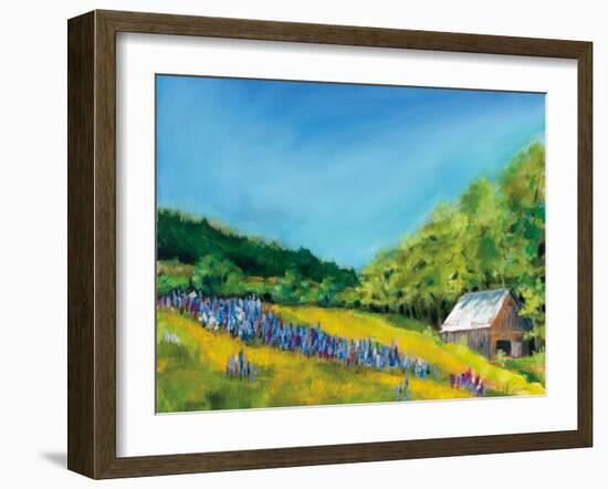 Field of Lupine-Sue Schlabach-Framed Art Print