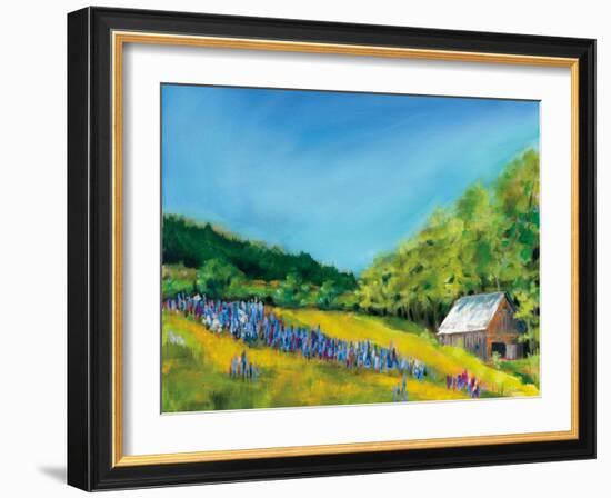 Field of Lupine-Sue Schlabach-Framed Art Print