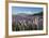 Field of Lupins Along Beacon Point Road, Wanaka, Otago, South Island, New Zealand, Pacific-Stuart Black-Framed Photographic Print