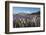 Field of Lupins Along Beacon Point Road, Wanaka, Otago, South Island, New Zealand, Pacific-Stuart Black-Framed Photographic Print