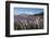 Field of Lupins Along Beacon Point Road, Wanaka, Otago, South Island, New Zealand, Pacific-Stuart Black-Framed Photographic Print