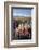 Field of Lupins with Southern Alps Behind, Near Lake Tekapo, Canterbury Region-Stuart Black-Framed Photographic Print