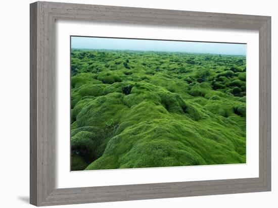 Field of Moss-Howard Ruby-Framed Photographic Print