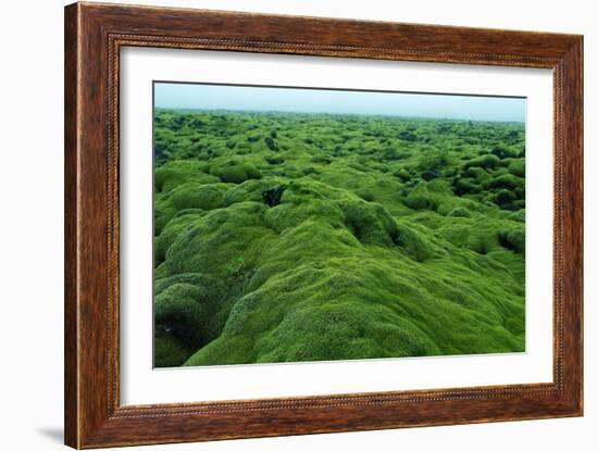 Field of Moss-Howard Ruby-Framed Photographic Print