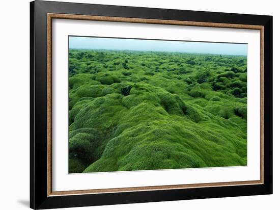 Field of Moss-Howard Ruby-Framed Photographic Print