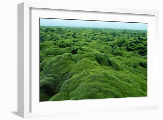 Field of Moss-Howard Ruby-Framed Photographic Print