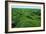 Field of Moss-Howard Ruby-Framed Photographic Print