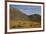 Field of Namaqualand daisy (Jakkalsblom) (Dimorphotheca sinuata), Namakwa, Namaqualand, South Afric-James Hager-Framed Photographic Print